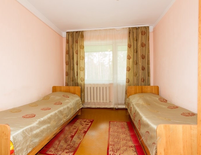 Стандарт 2-местный корп.2,3 - Санаторий «Горячинск» Горячинск