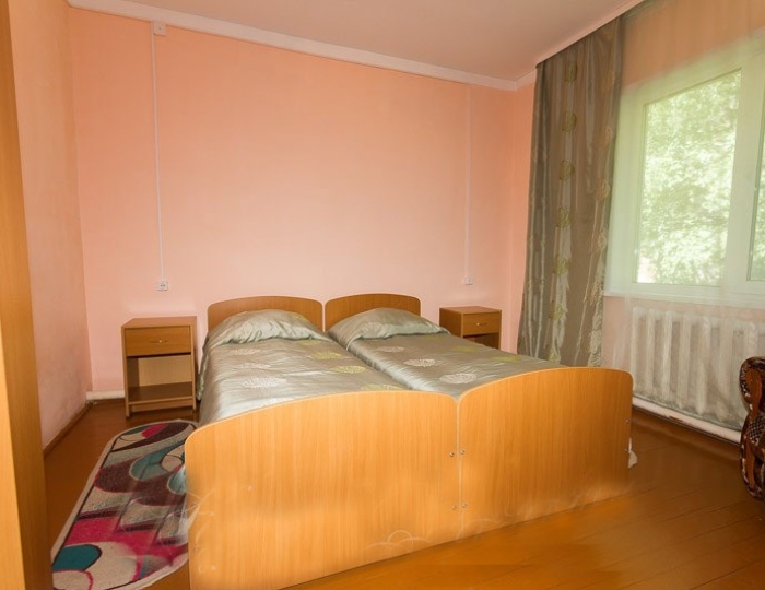 Стандарт 2-местный корп.2,3 - Санаторий «Горячинск» Горячинск