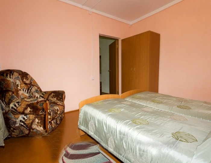 Стандарт 2-местный корп.2,3 - Санаторий «Горячинск» Горячинск